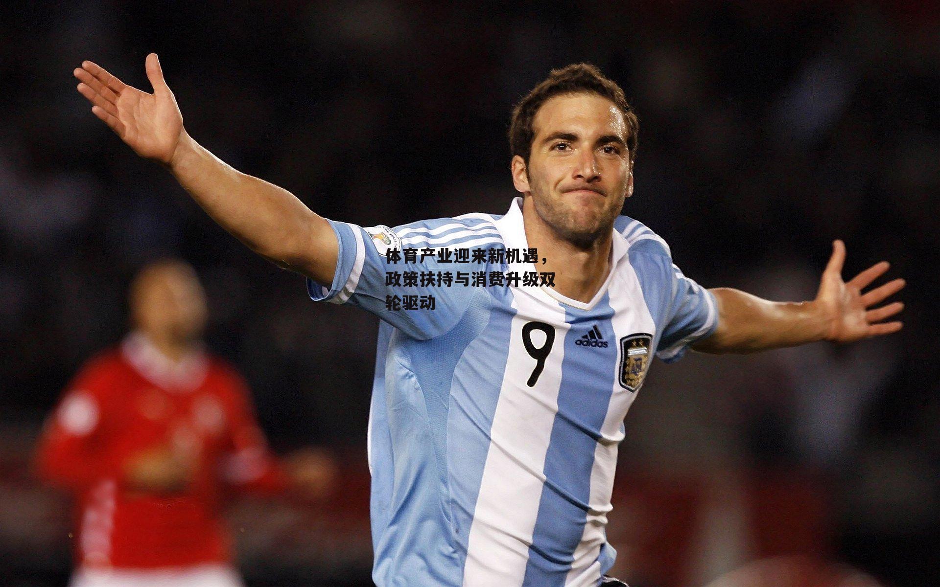 体育产业迎来新机遇,政策扶持与消费升级双轮驱动